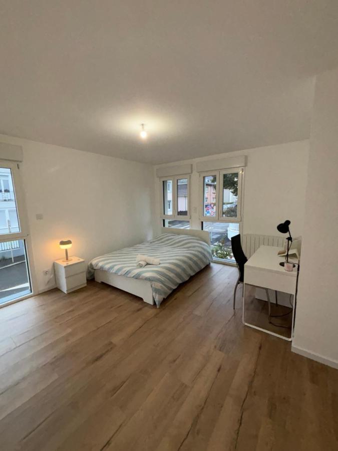 Appartement + Parking + Terrasse Mulhouse Exterior foto