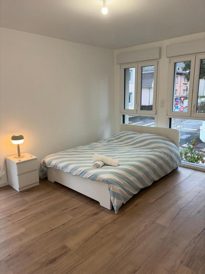 Appartement + Parking + Terrasse Mulhouse Exterior foto